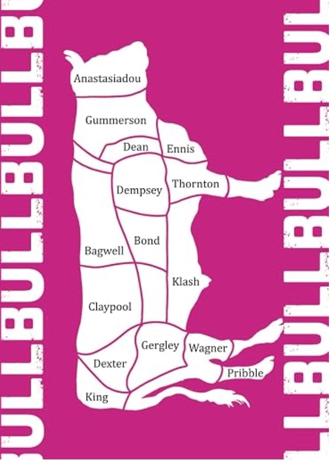 BULL cover