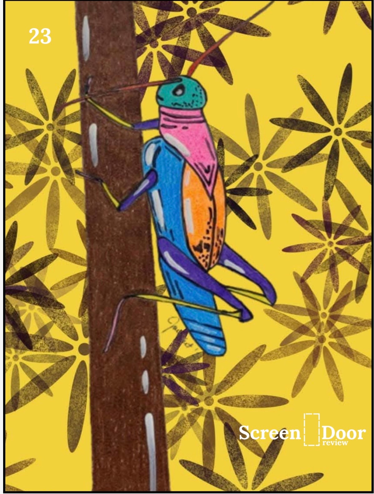Screen Door Review cover